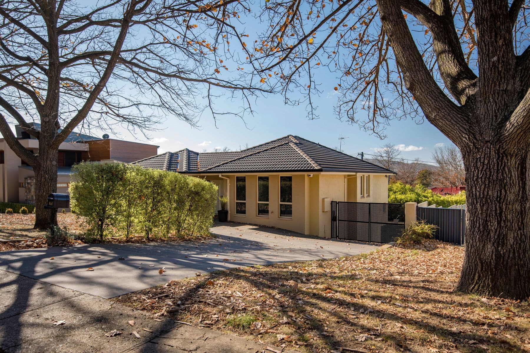 32 Quandong Street, O'Connor, O'Connor - Image 1