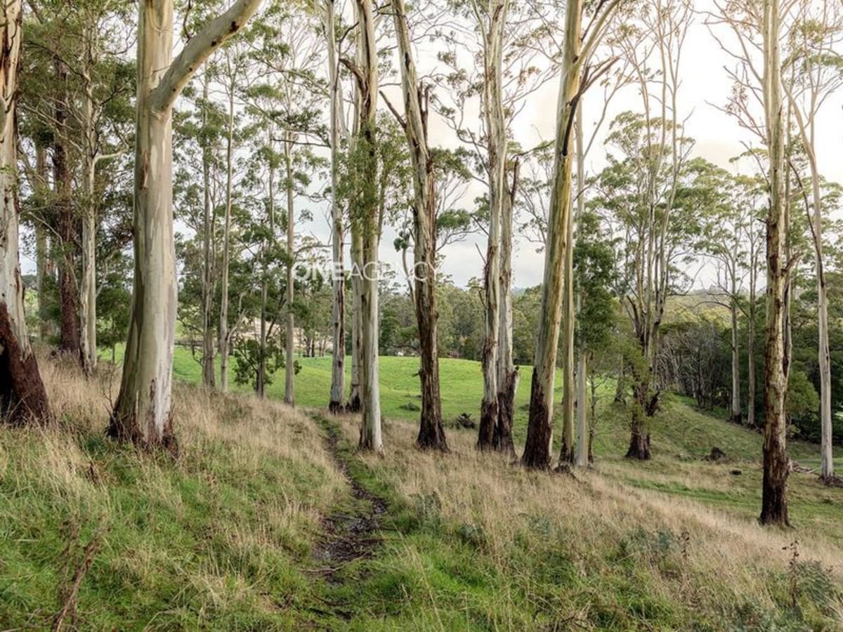 400 Seabrook Road, Somerset, Somerset - Thumbnail 4