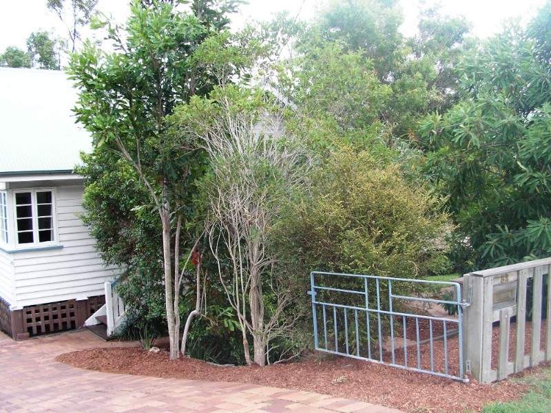 82 Dawson Parade, Keperra, Keperra - Thumbnail 6