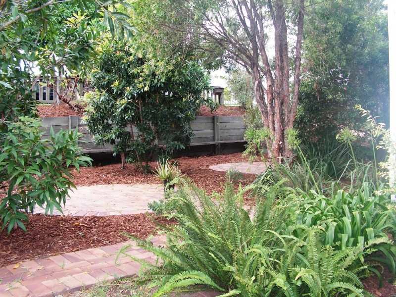 82 Dawson Parade, Keperra, Keperra - Thumbnail 7