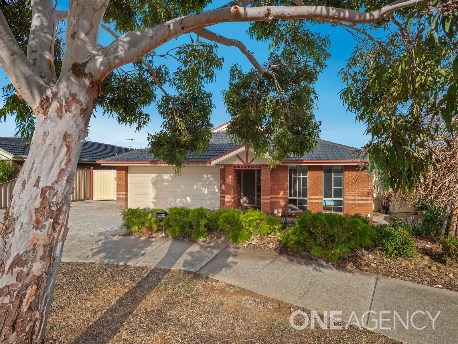 49 Batman Street, Burnside Heights, Burnside Heights - Thumbnail 2