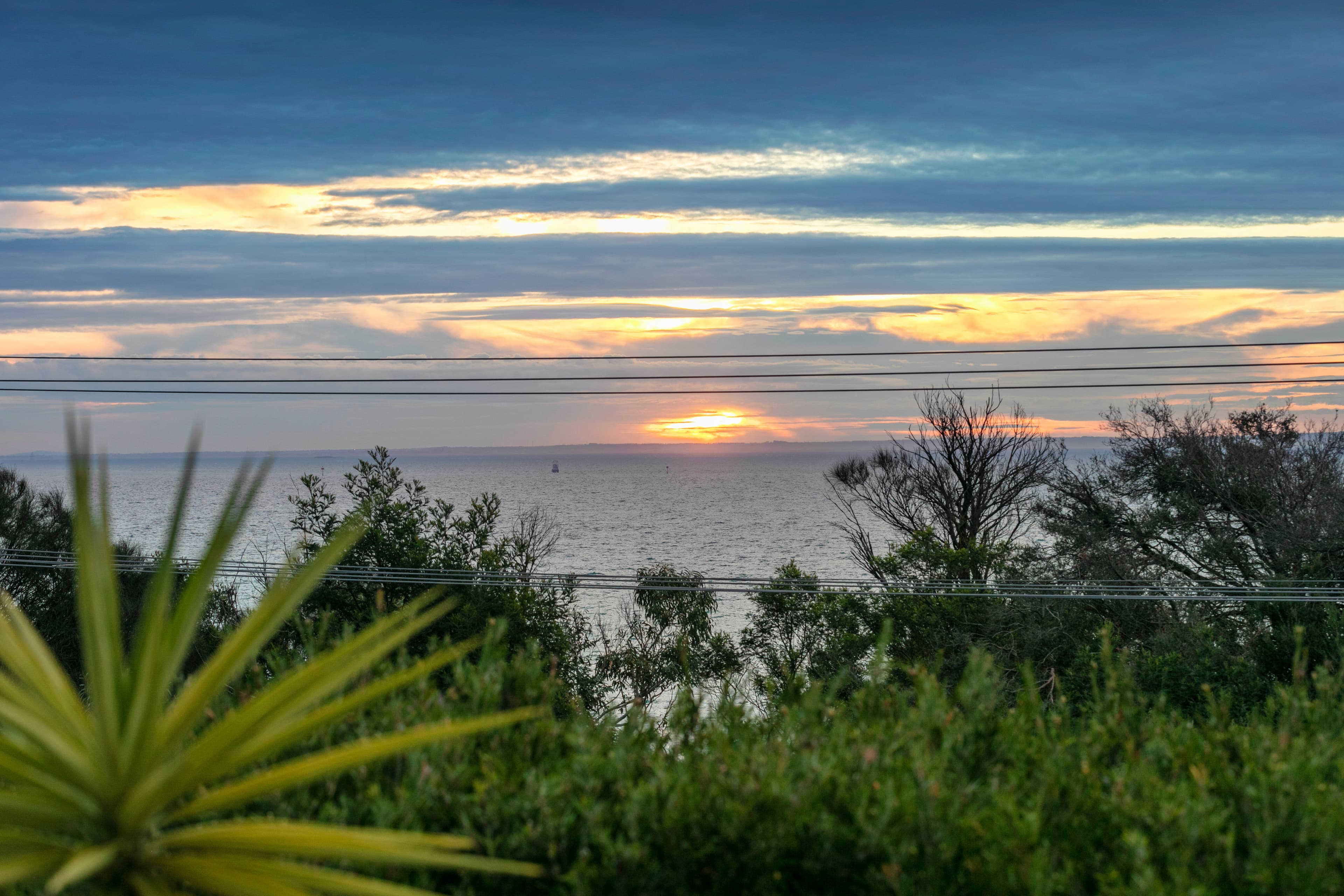 41 Latrobe Parade, Dromana, Dromana - Thumbnail 2