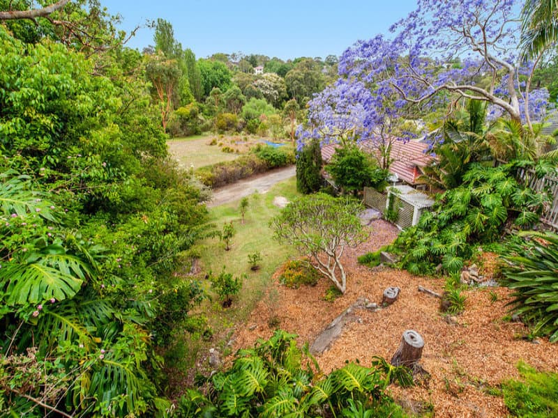 3 Kameruka Road, Northbridge, NSW 2063, Northbridge - Thumbnail 2