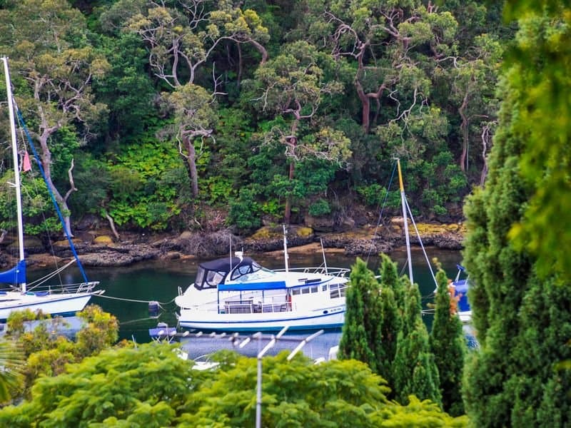 43A Minnamurra Road, Northbridge, Northbridge - Thumbnail 3