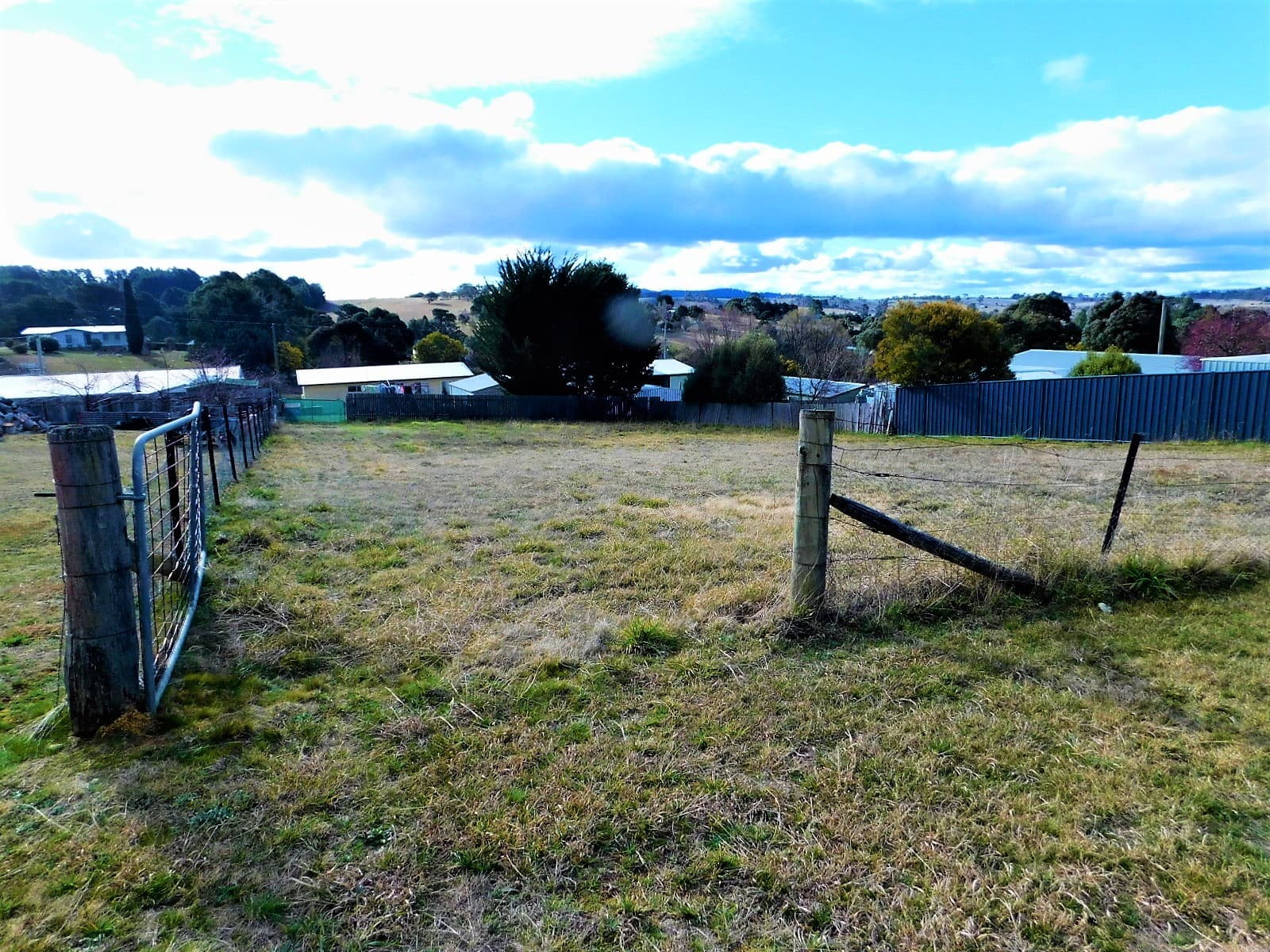 22 Iris Street, Bombala, Bombala - Thumbnail 3