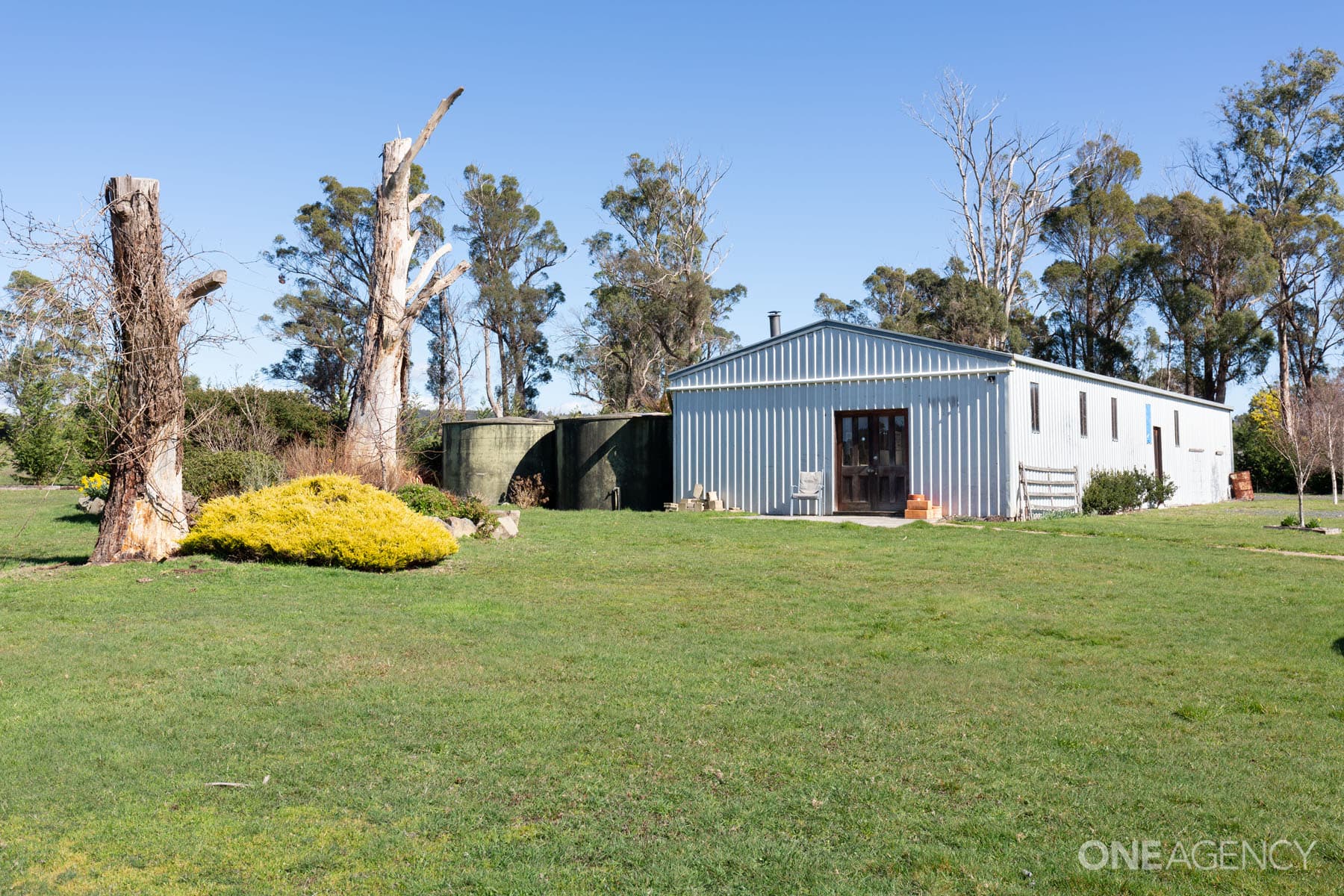 213 Lewis Street, Pipers River, Pipers River - Thumbnail 6