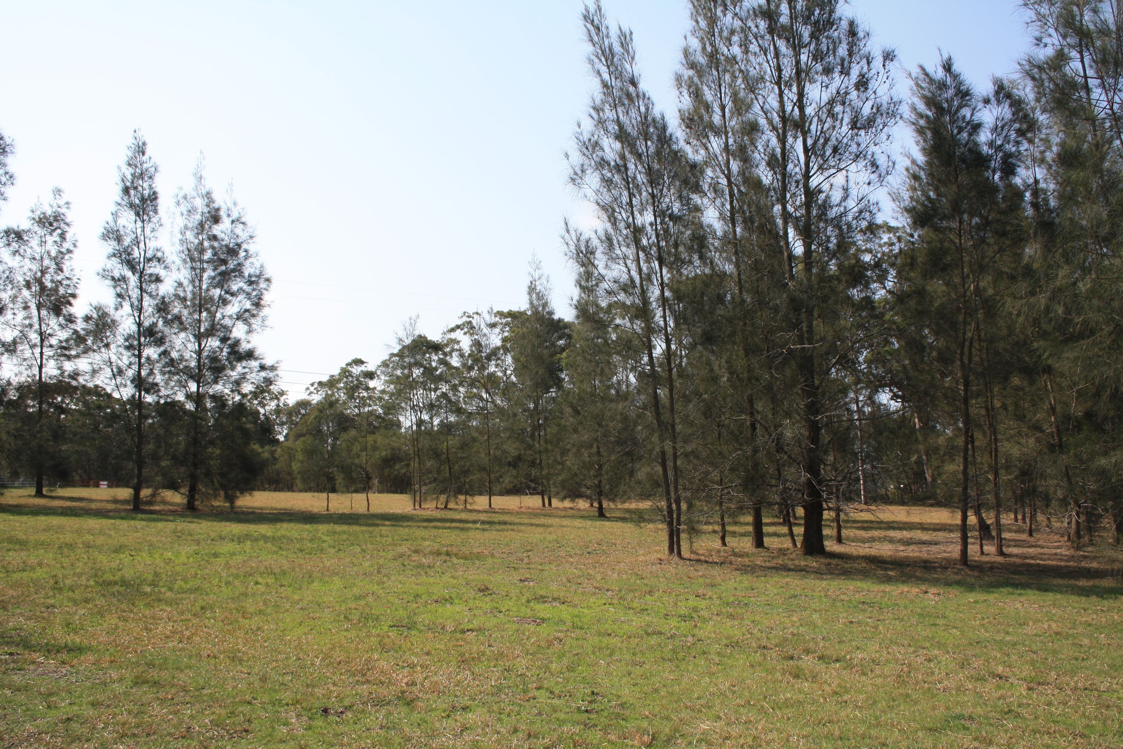 89 Forest Road, Wyee, Wyee - Thumbnail 5