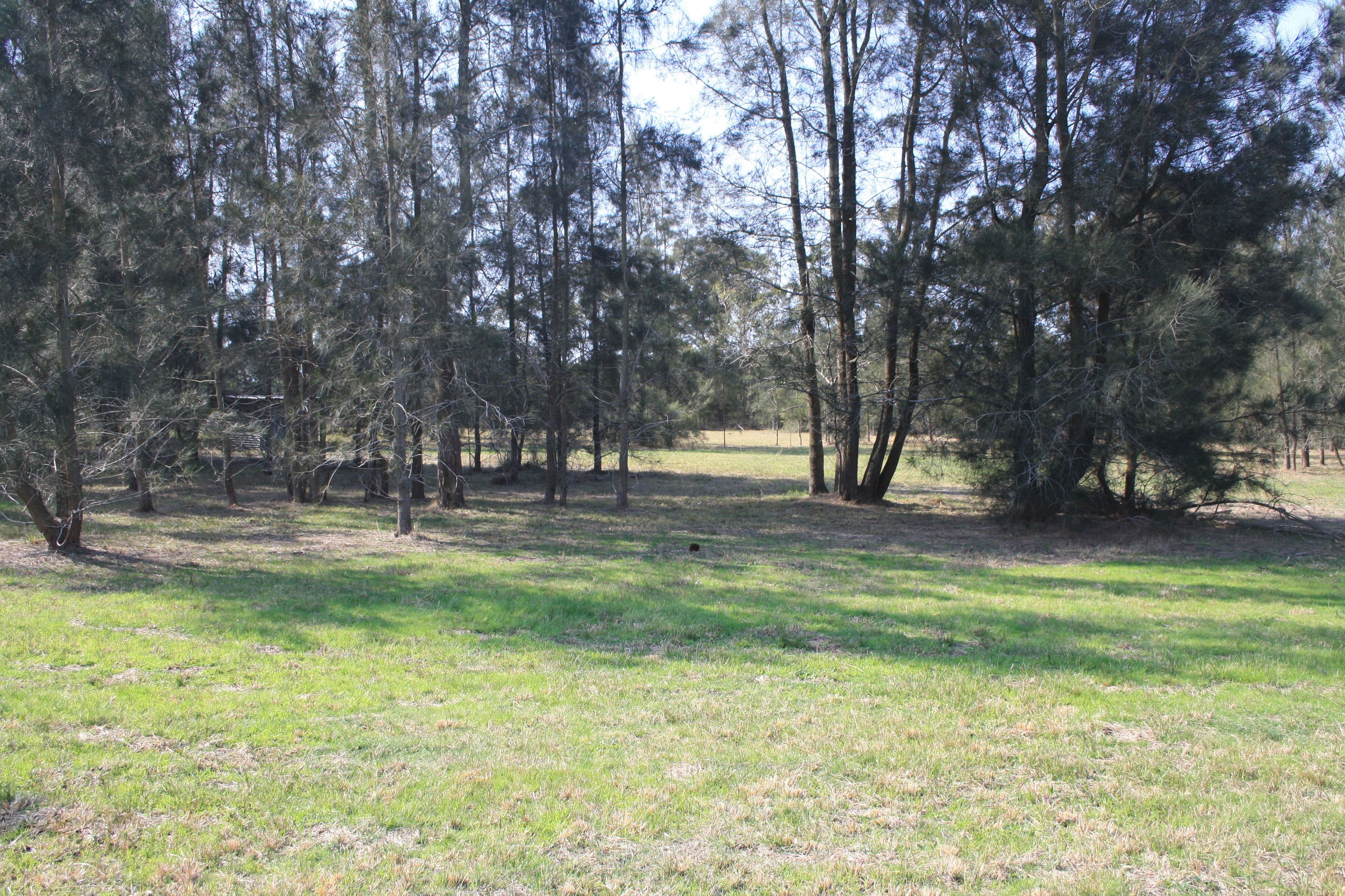 89 Forest Road, Wyee, Wyee - Thumbnail 6