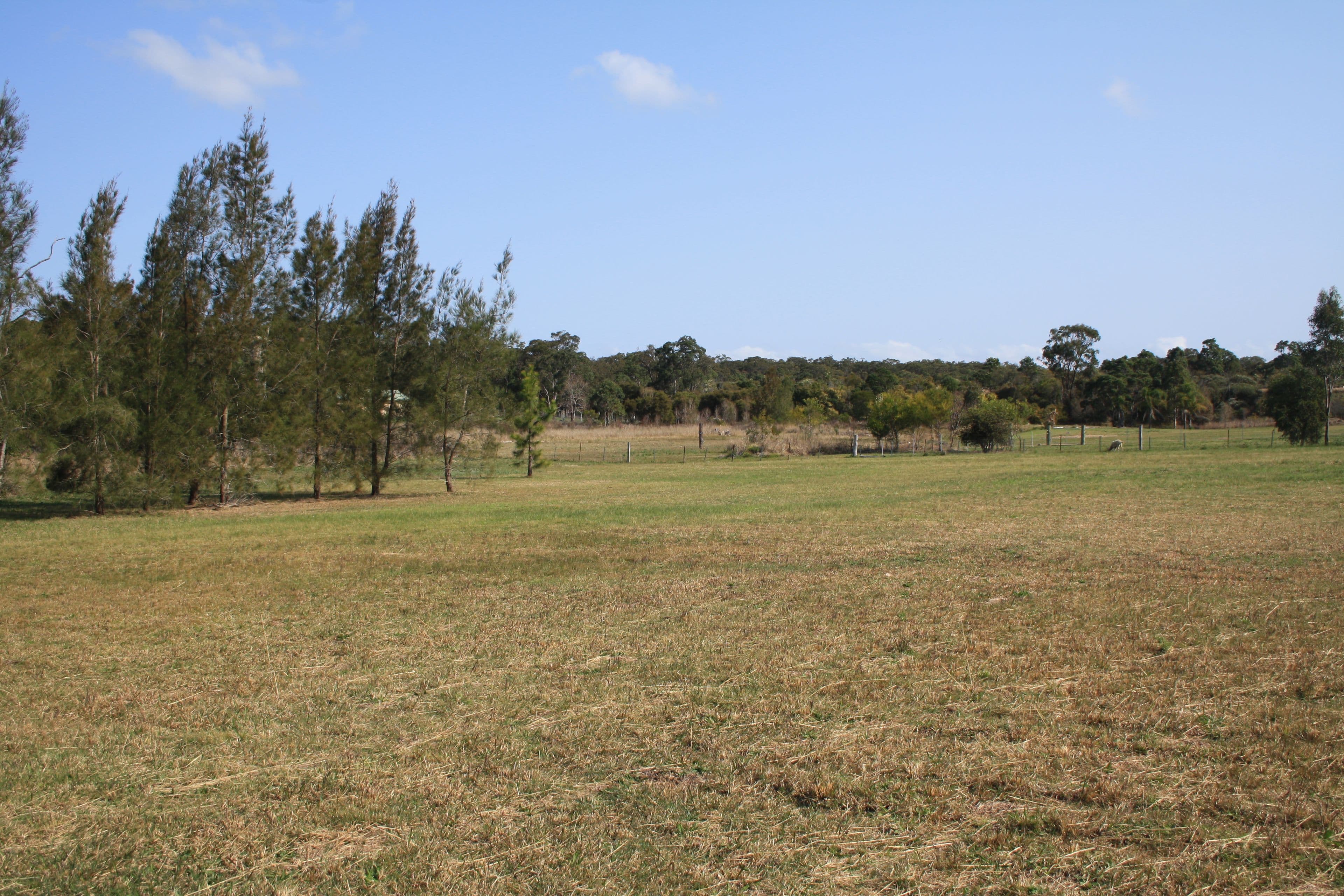 97 Forest Road, Wyee, Wyee - Thumbnail 6