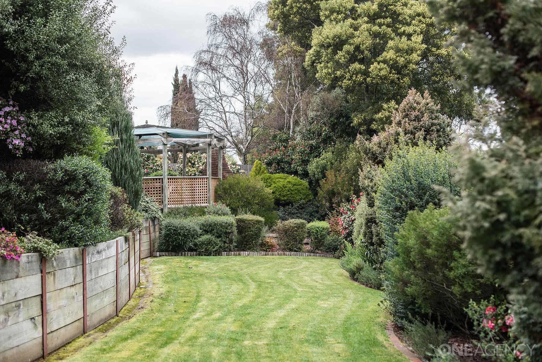 12 Rajee Place, Norwood, Norwood - Thumbnail 7