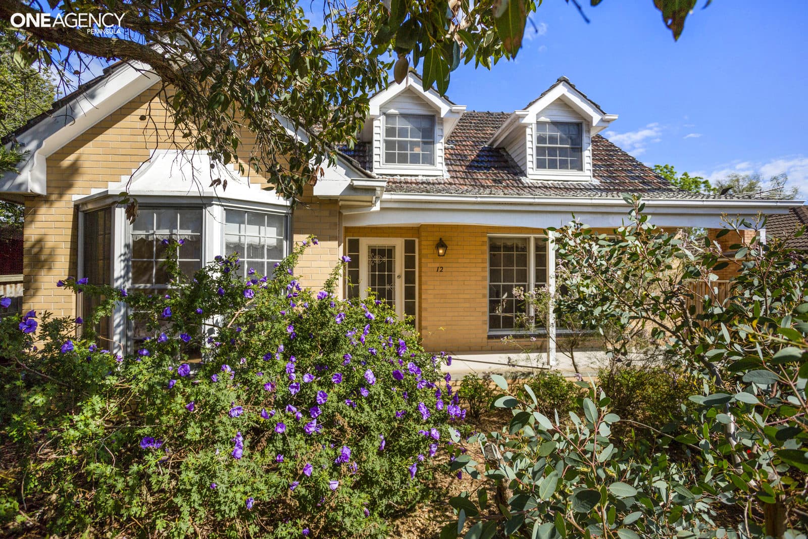 12 Hamilton Grove, Frankston South, Frankston South - Thumbnail 2