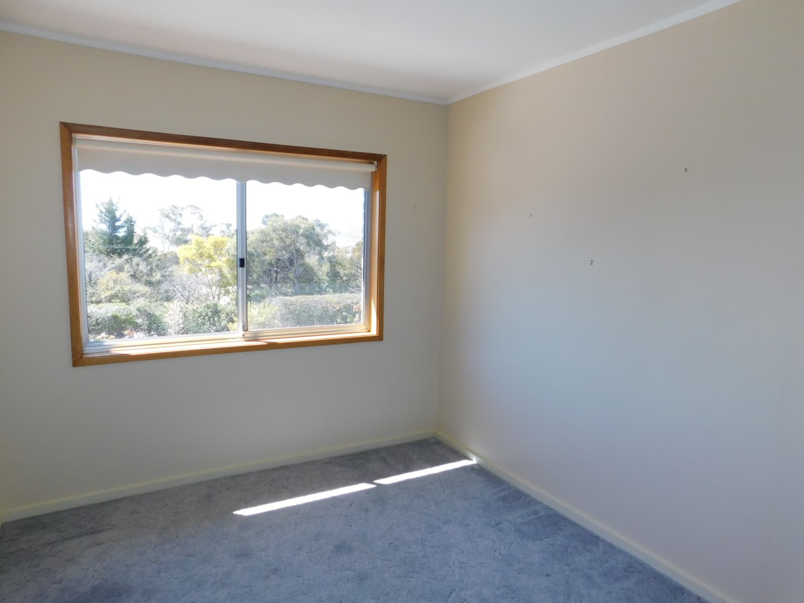 5 Maneroo  Place, Cooma, Cooma - Thumbnail 6