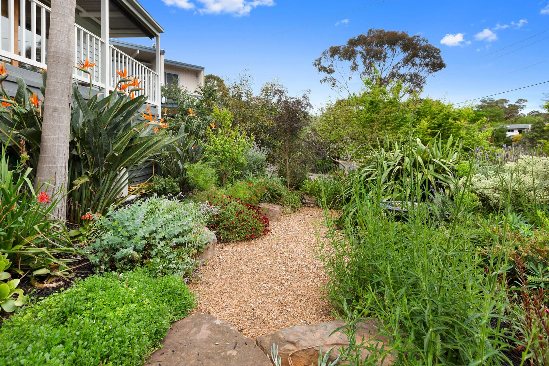 133 Rutland Avenue, Mount Eliza, Mount Eliza - Thumbnail 3
