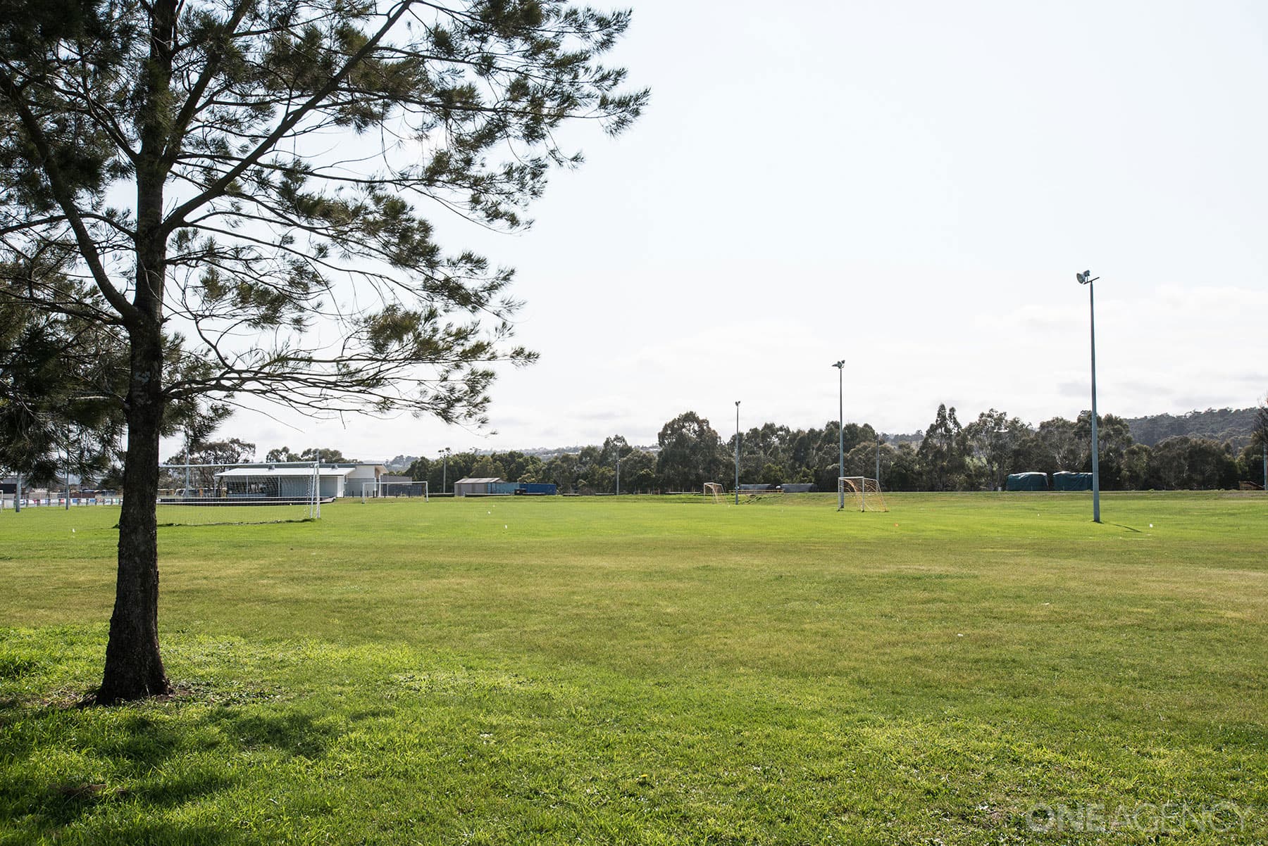 67 Hart Street, Newstead, Newstead - Thumbnail 4