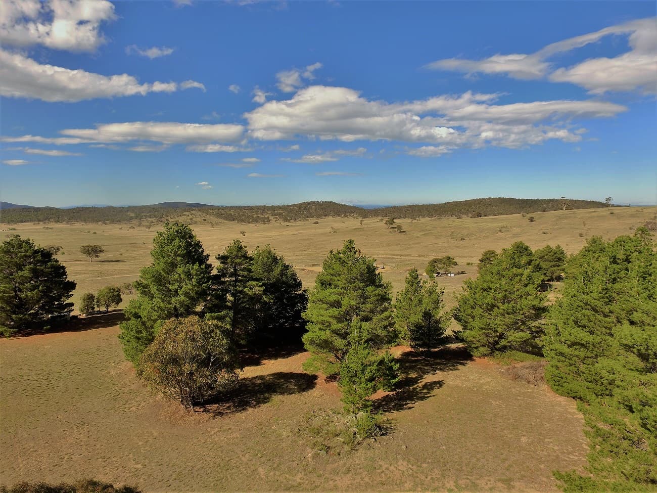 46 Towrang Vale Road, Cooma, Cooma - Thumbnail 6