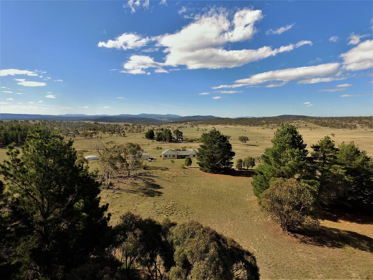 46 Towrang Vale Road, Cooma, Cooma - Thumbnail 4