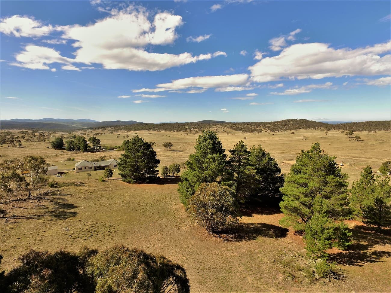46 Towrang Vale Road, Cooma, Cooma - Thumbnail 5