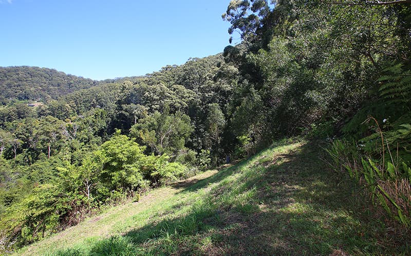 2c Hardy Close, Korora, Korora - Thumbnail 4