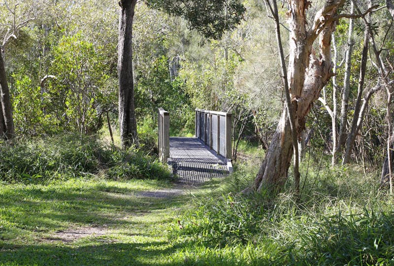 60 First Avenue, Woolgoolga, Woolgoolga - Thumbnail 4