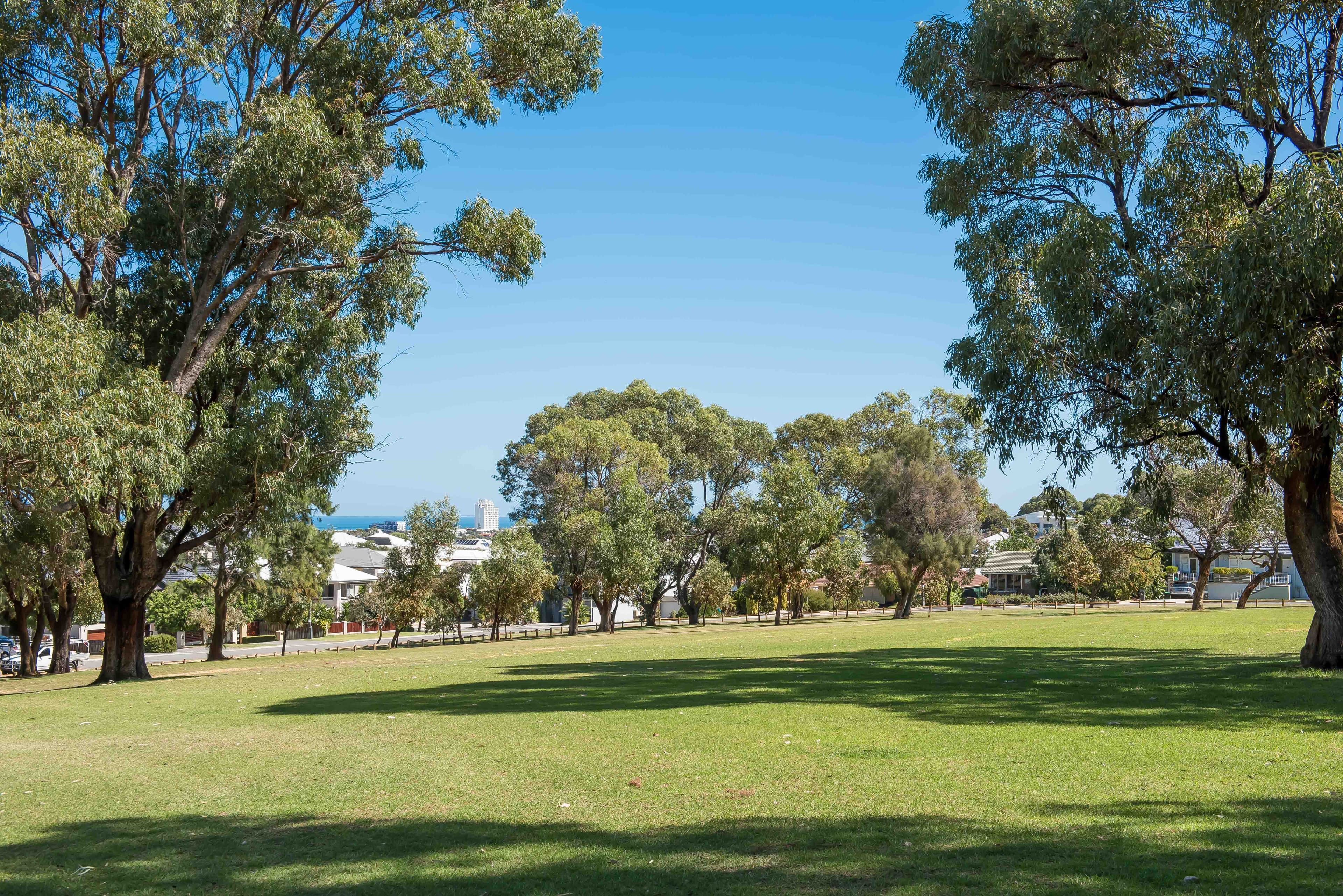 12 Edmondson Crescent, Karrinyup, Karrinyup - Thumbnail 6