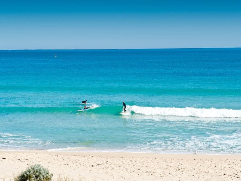 42B Francis Avenue, Karrinyup, Karrinyup - Image 1
