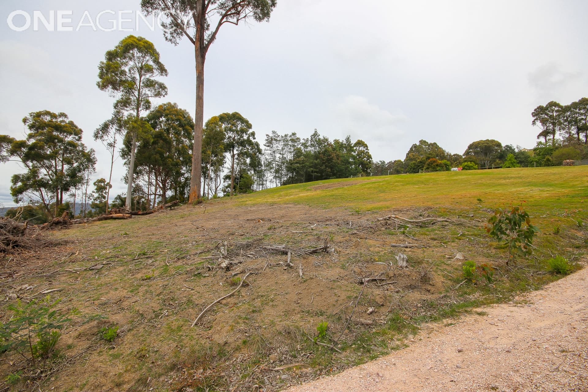 3 Wattle Bank Close, Spreyton, Spreyton - Thumbnail 4