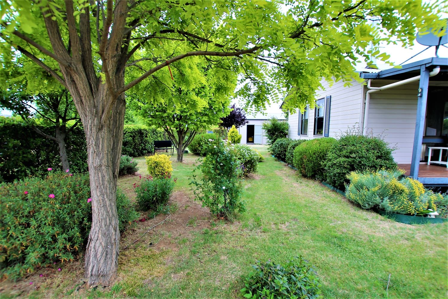9 Bransby Street, Bredbo, Bredbo - Thumbnail 6