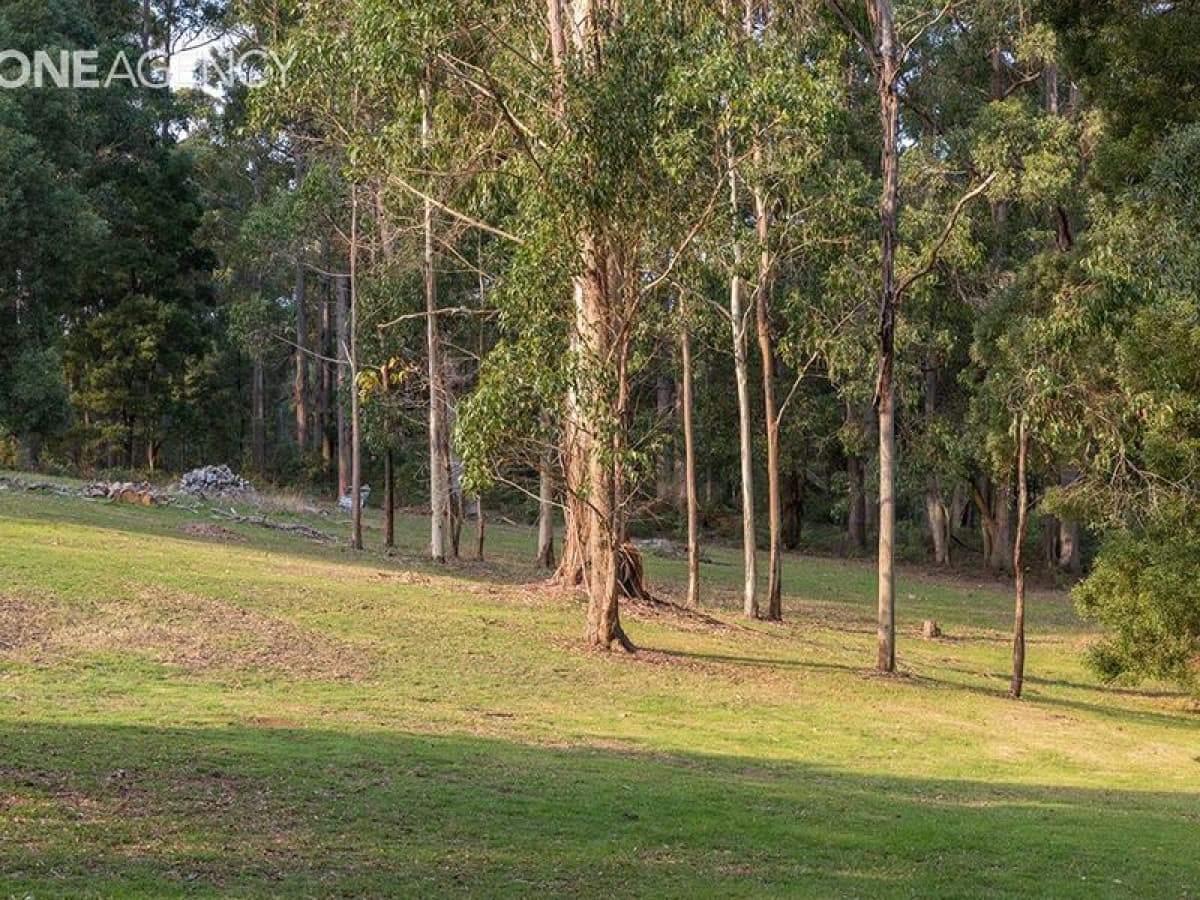 122 Tippetts Road, Mount Hicks, Mount Hicks - Thumbnail 7