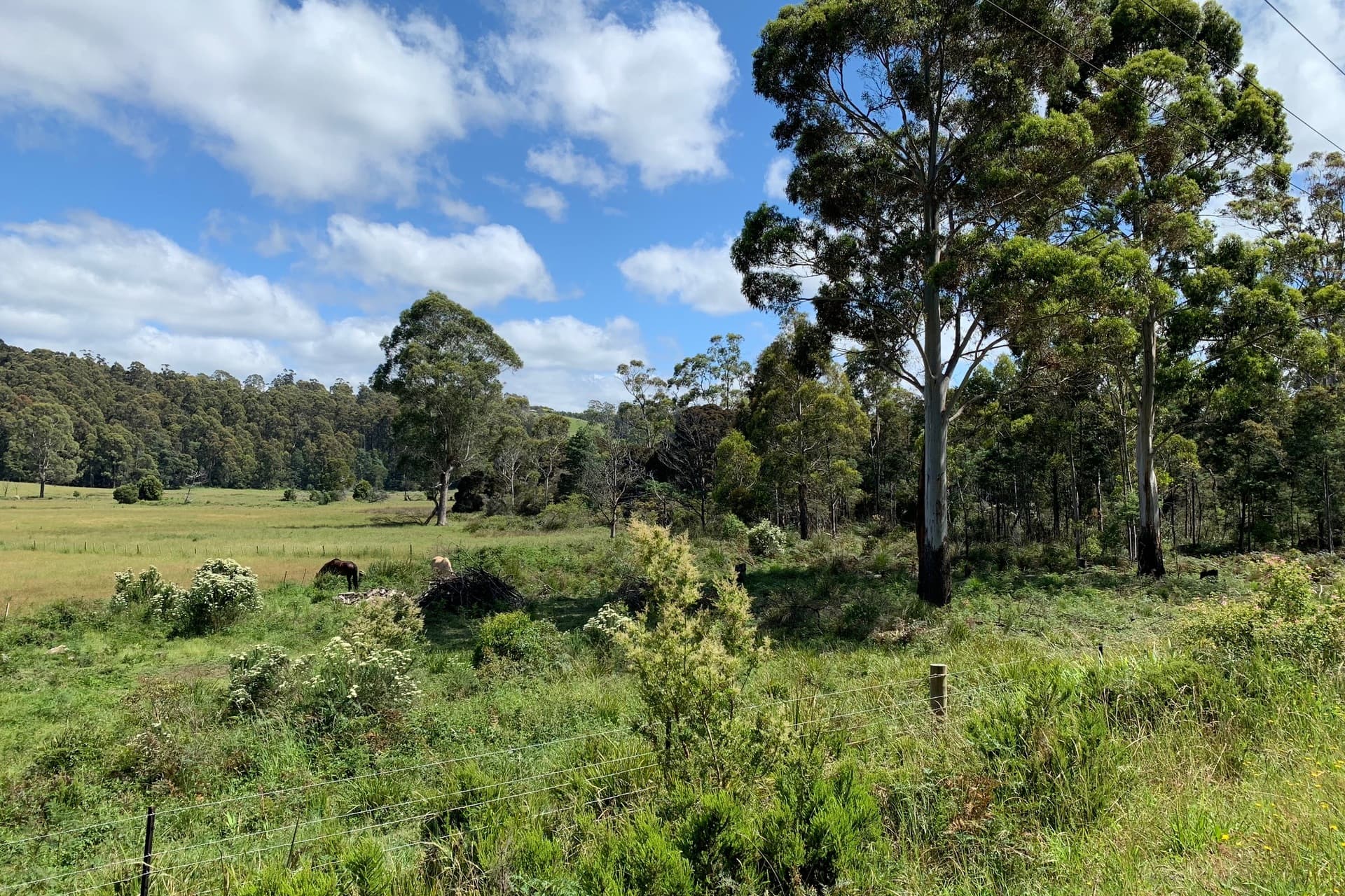 124 Foster Street, Railton, Railton - Thumbnail 2