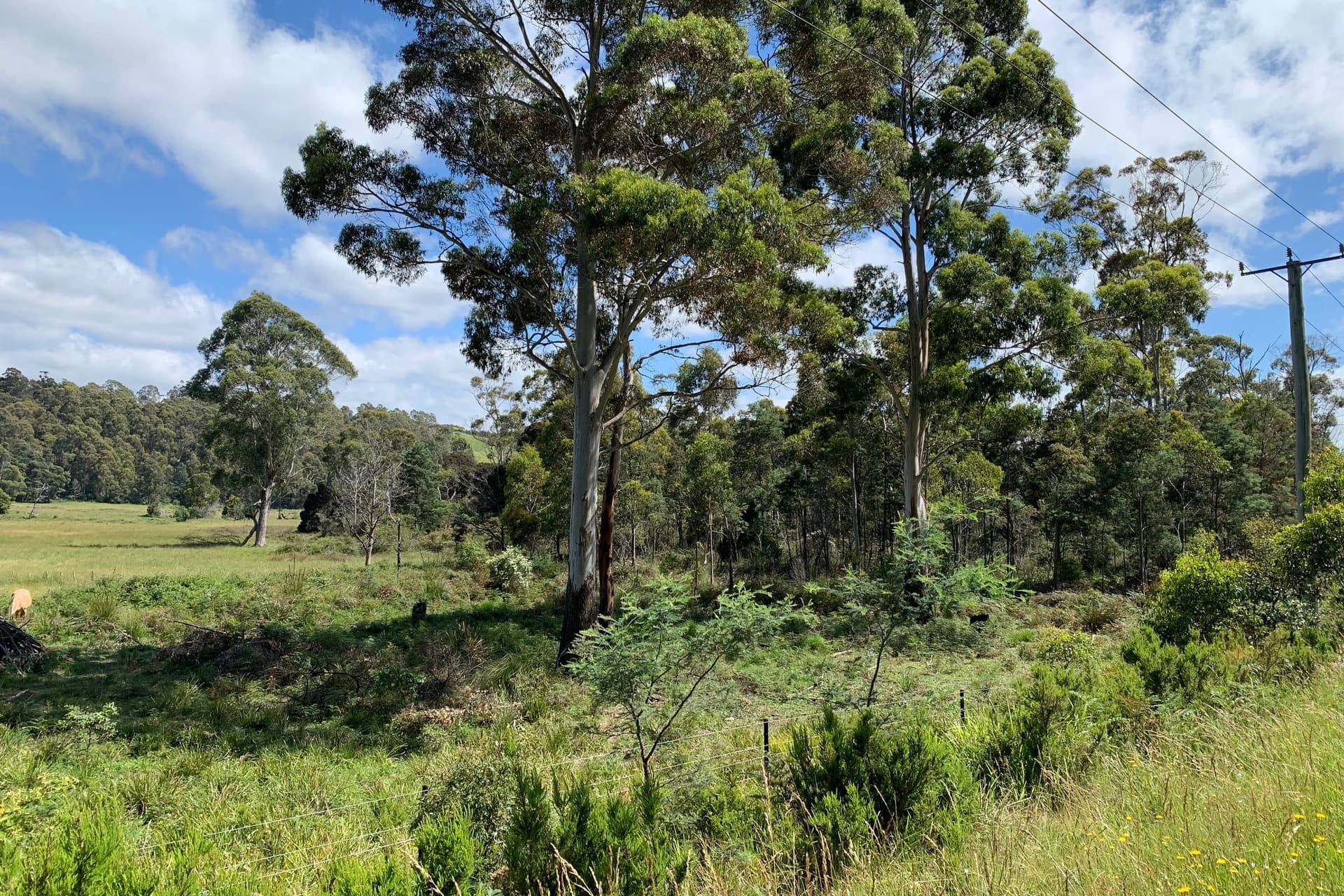 124 Foster Street, Railton, Railton - Image 1