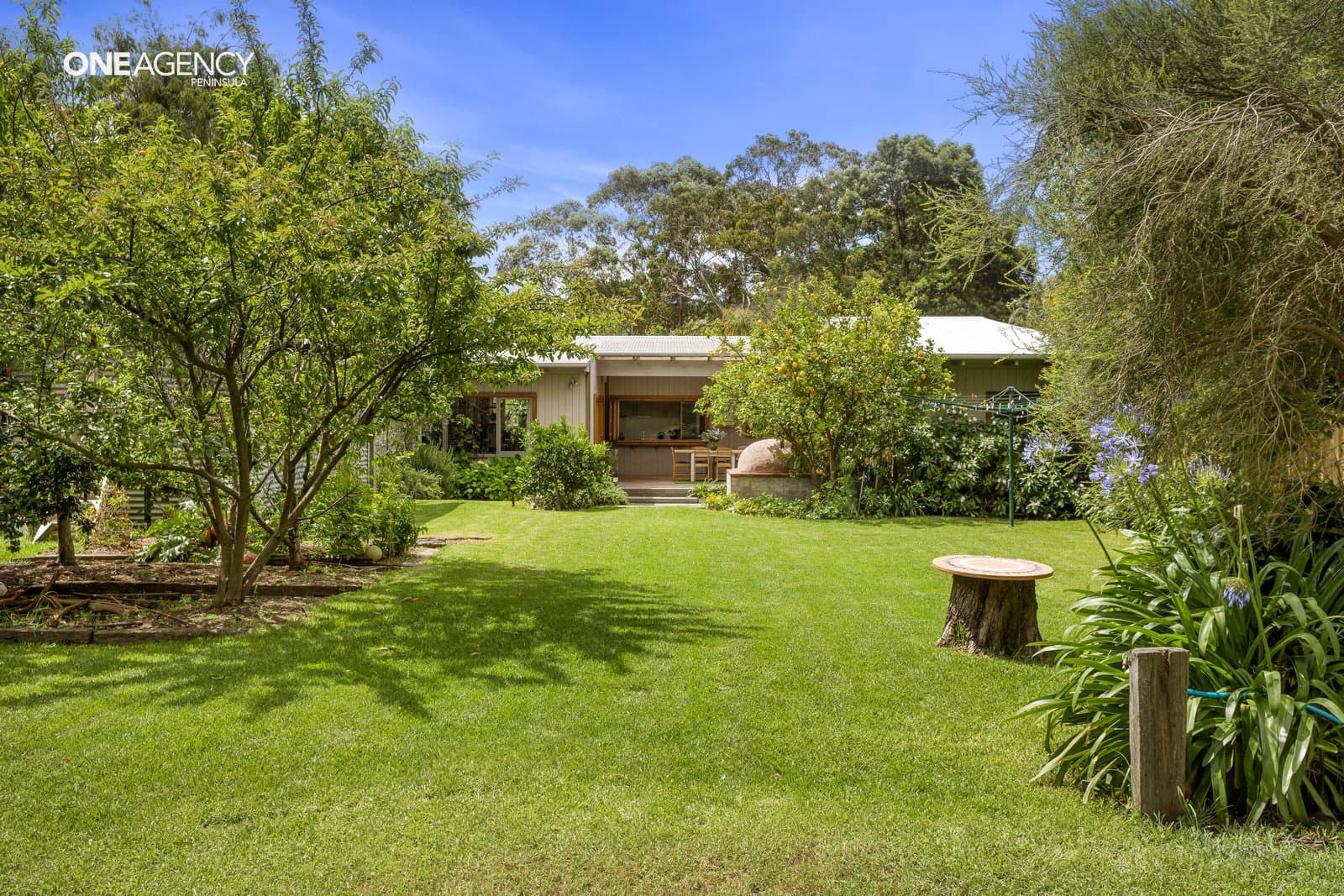 22 Rothesay Avenue, Mornington, Mornington - Thumbnail 3