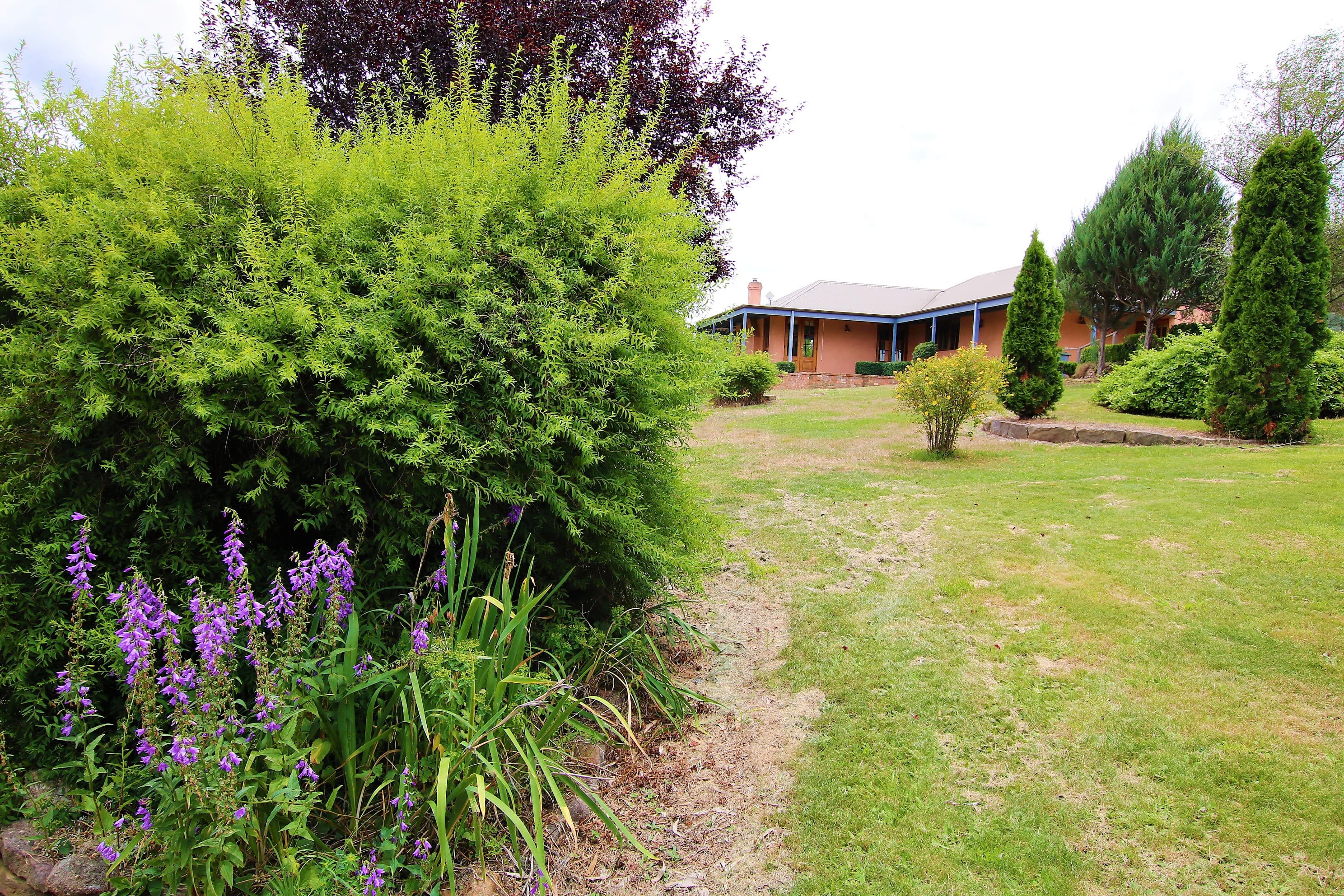 310 Monaro Highway, Bombala, Bombala - Thumbnail 5