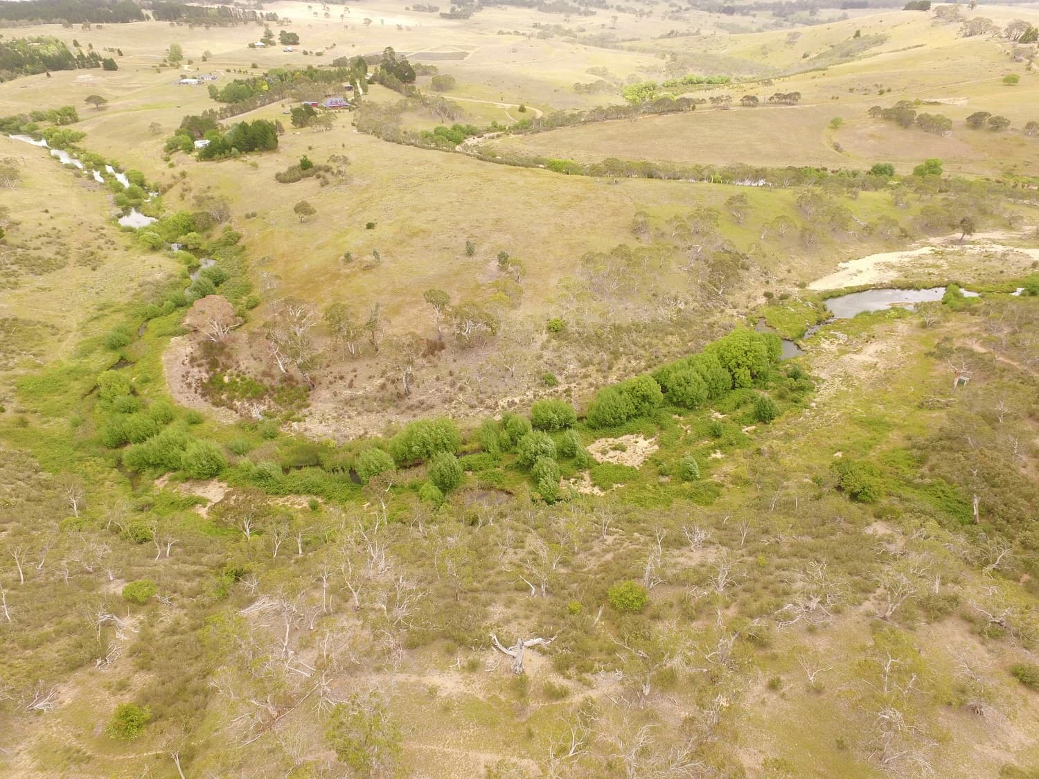 310 Monaro Highway, Bombala, Bombala - Thumbnail 8