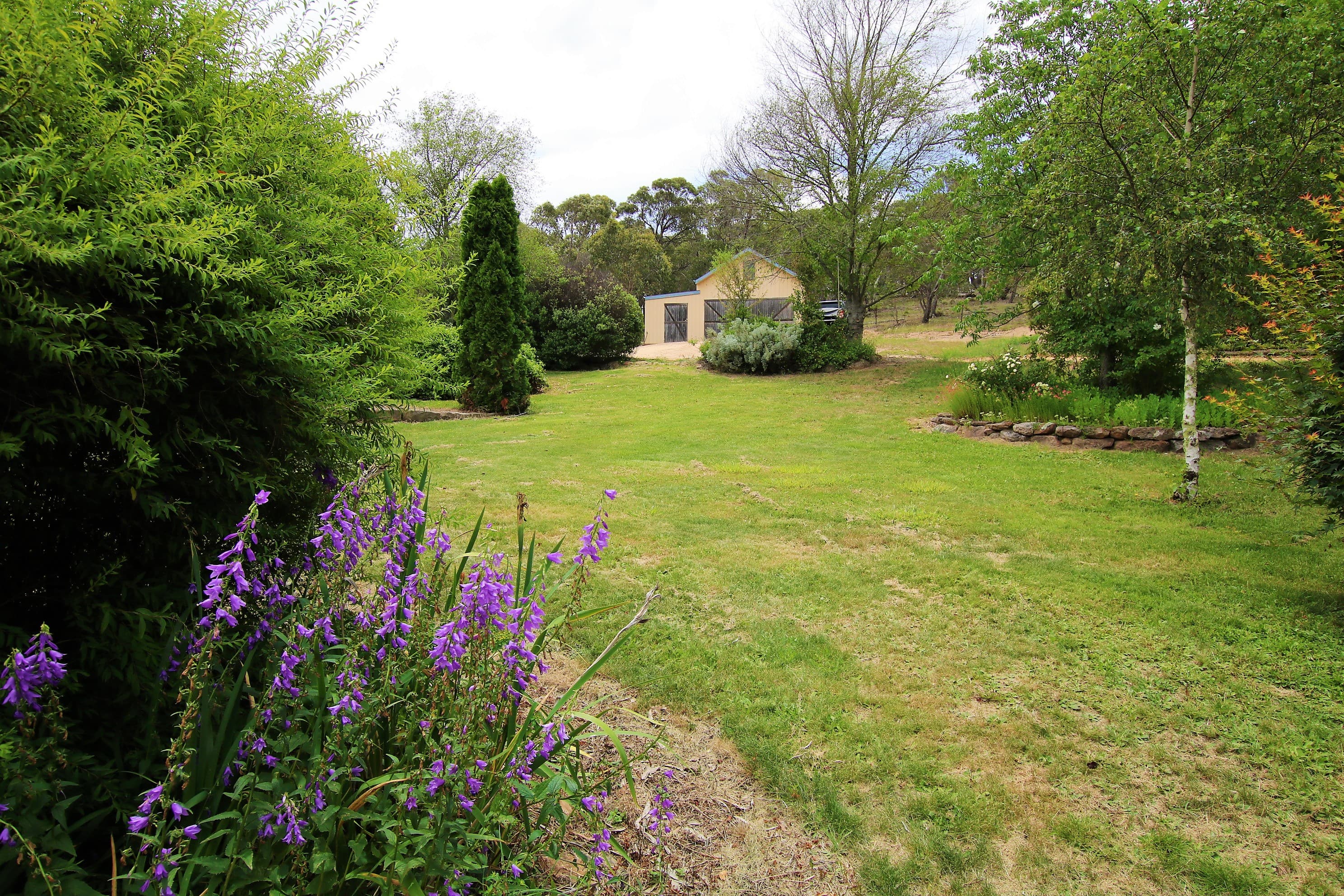 310 Monaro Highway, Bombala, Bombala - Thumbnail 6
