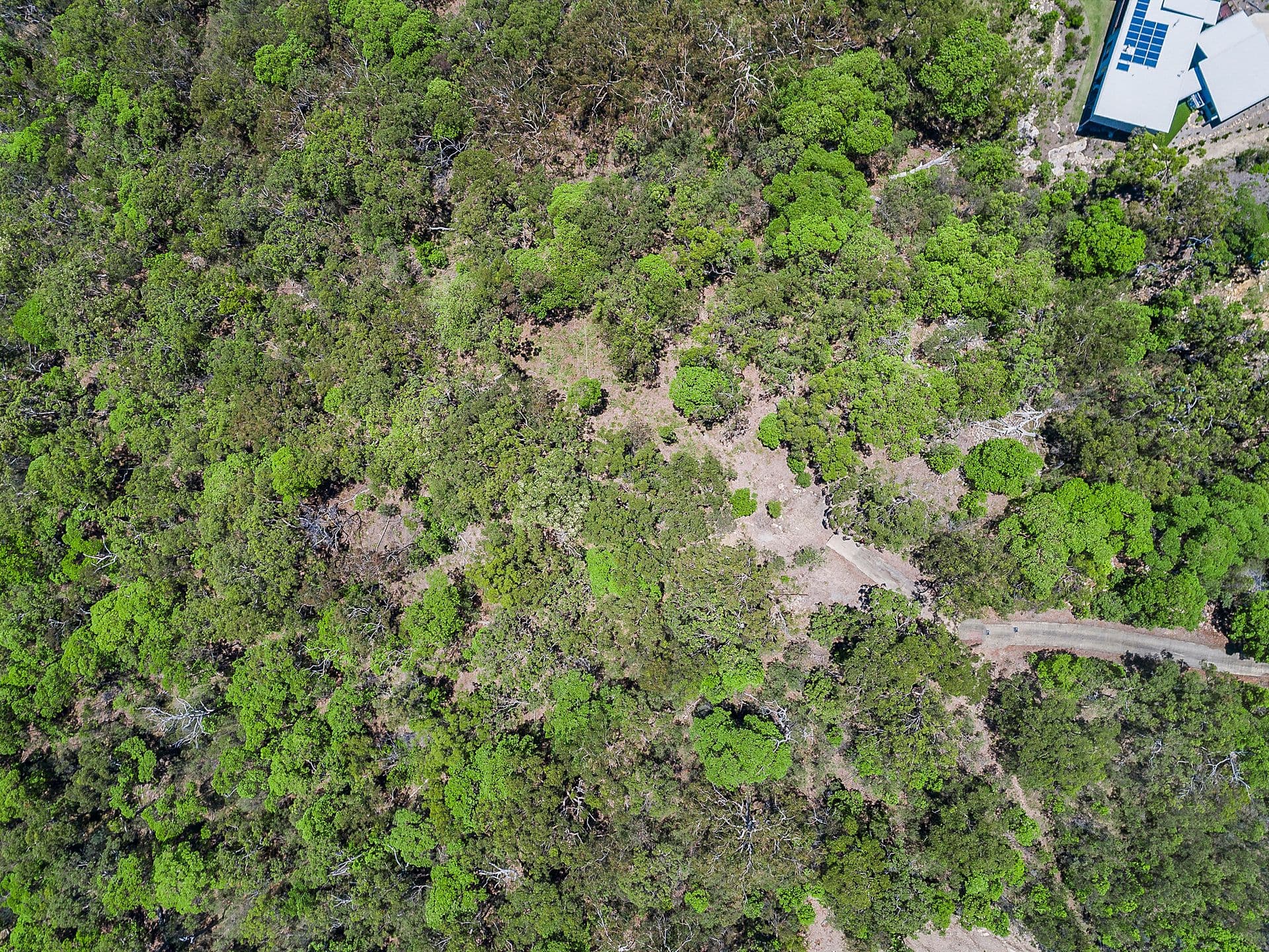 11 Carnarvon Court, Yandina Creek, Yandina Creek - Thumbnail 5