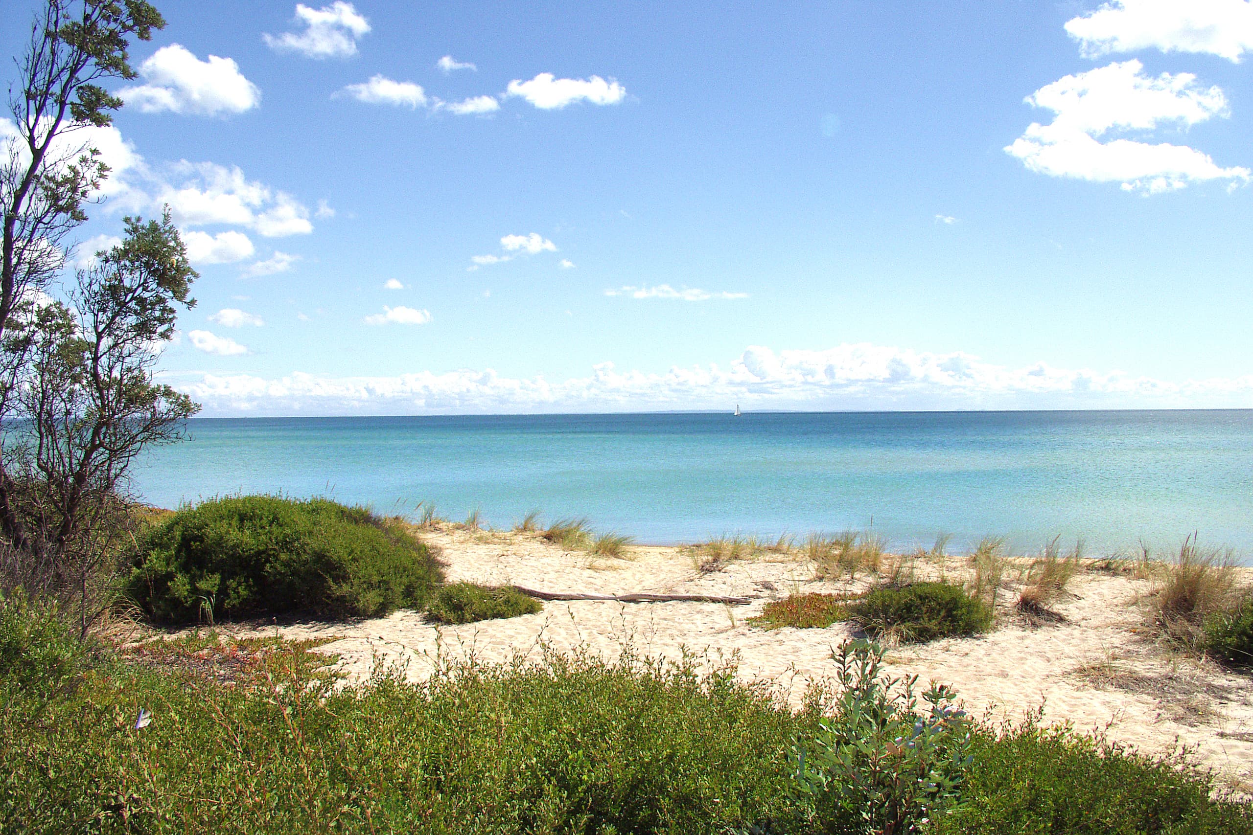 78 Dromana Parade, Safety Beach, Safety Beach - Thumbnail 8