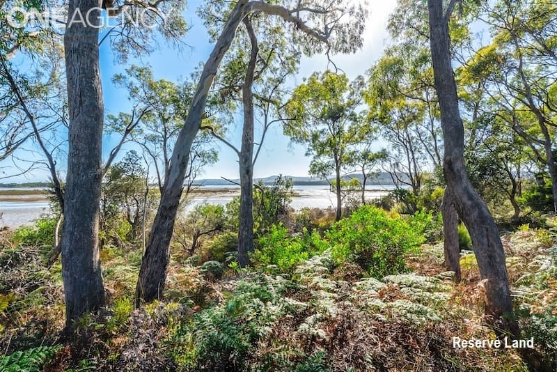 69 Shannon Drive, Port Sorell, Port Sorell - Thumbnail 6