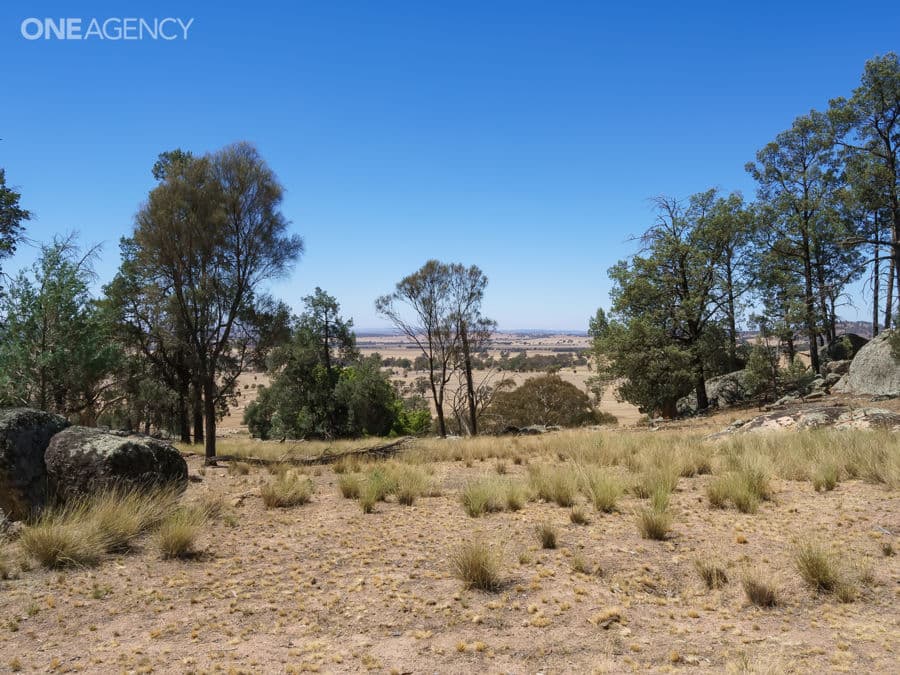 259 Ivydale Road, Gregadoo, Gregadoo - Thumbnail 2