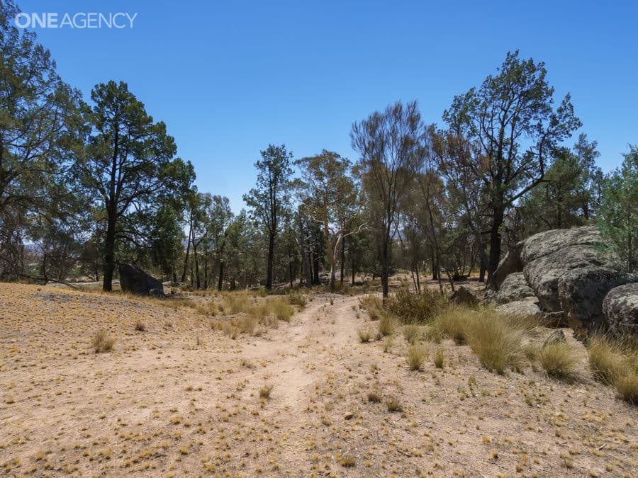 259 Ivydale Road, Gregadoo, Gregadoo - Thumbnail 3