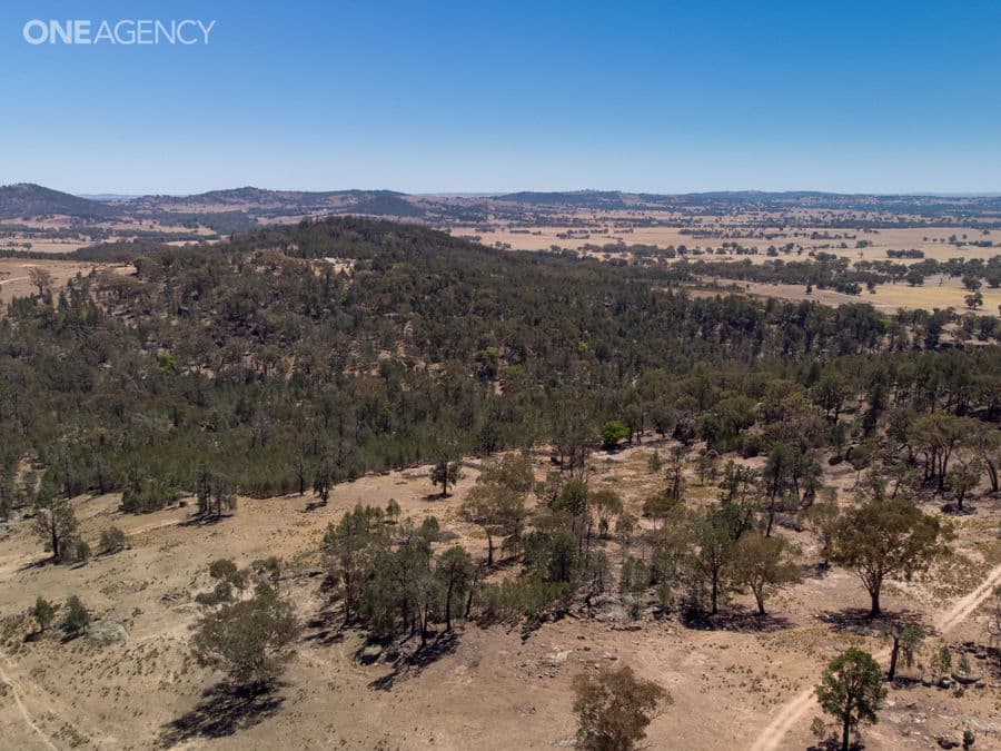 259 Ivydale Road, Gregadoo, Gregadoo - Thumbnail 4