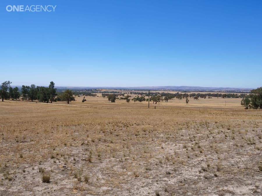 259 Ivydale Road, Gregadoo, Gregadoo - Thumbnail 6