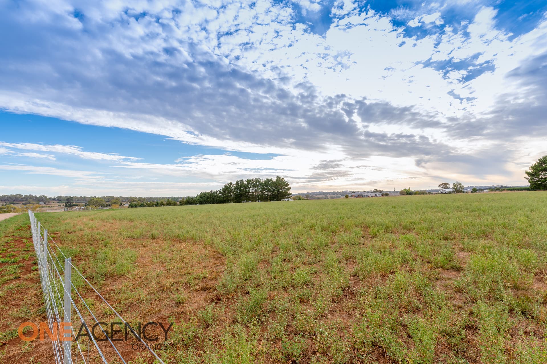 569 Forest Reefs Road, Orange, Orange - Thumbnail 4