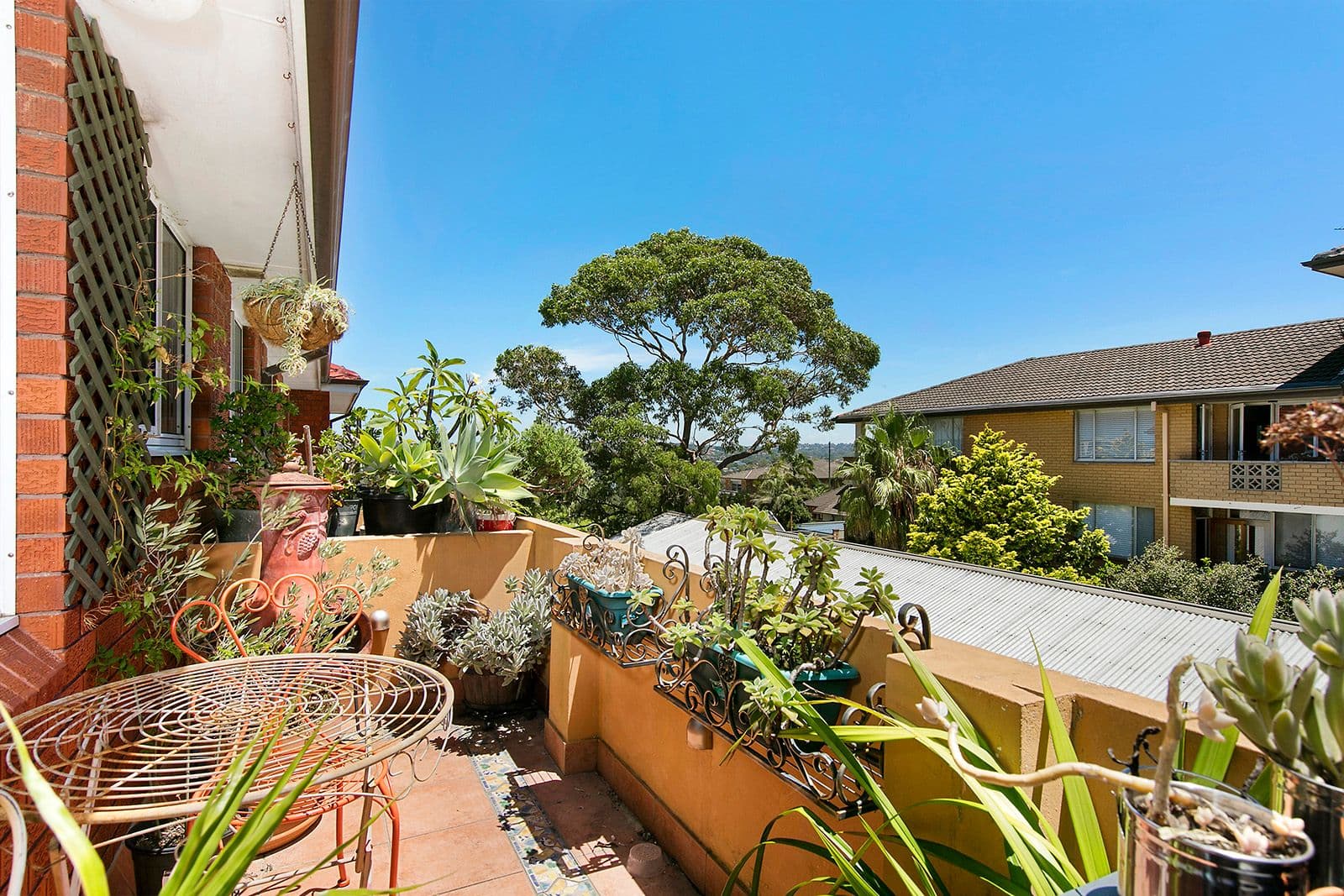 12/3 Dalley Street, Queenscliff, Queenscliff - Thumbnail 5