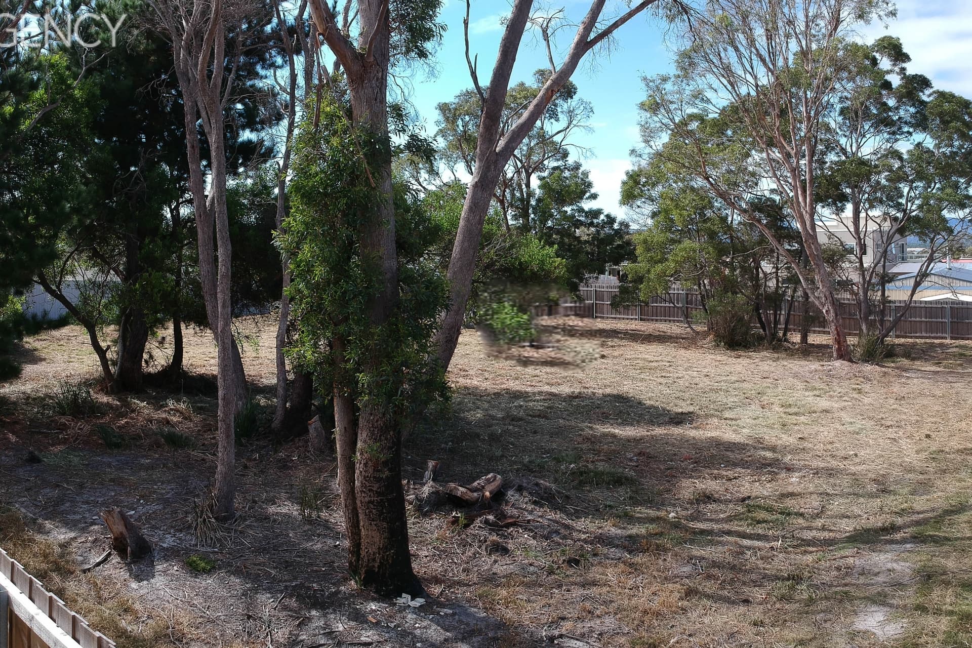 27 Broadwater Court, Shearwater, Shearwater - Thumbnail 5
