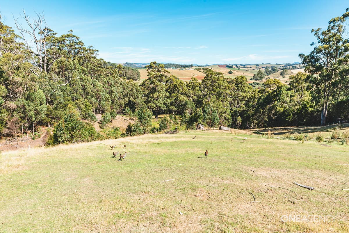 78 Maydena Road, Stowport, Stowport - Thumbnail 4
