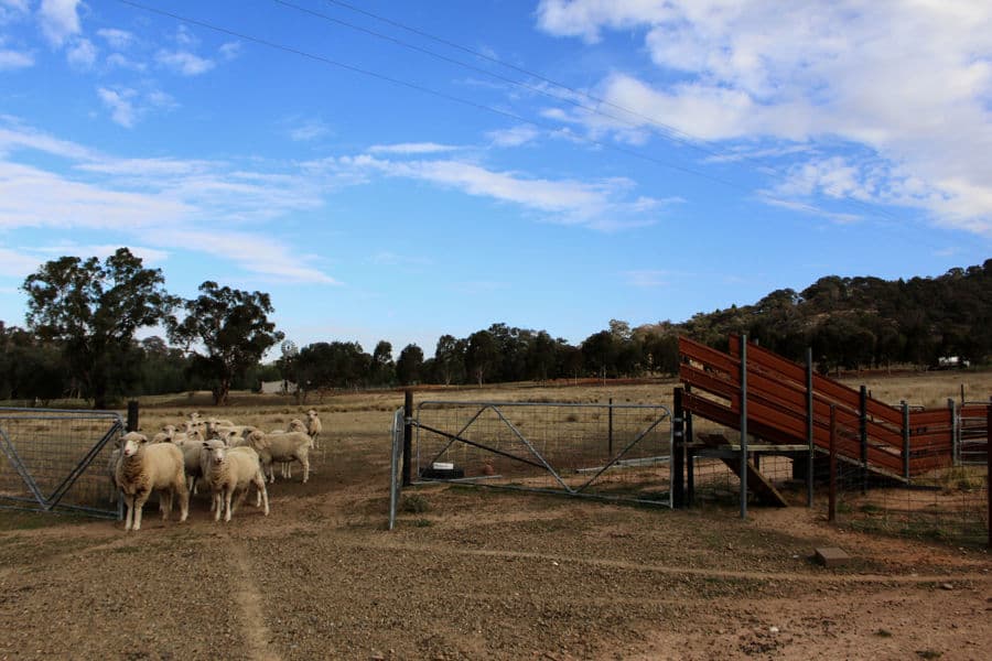 6739 Holbrook Road, Rowan, Rowan - Thumbnail 2