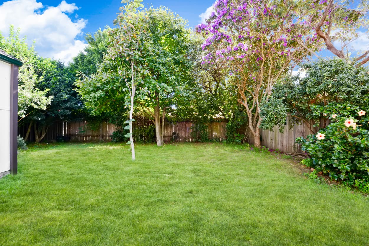 19 Dowsett Road, Kingsgrove, Kingsgrove - Thumbnail 7