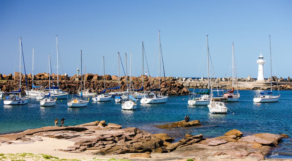 203 Kembla Street, Wollongong, Wollongong - Thumbnail 5