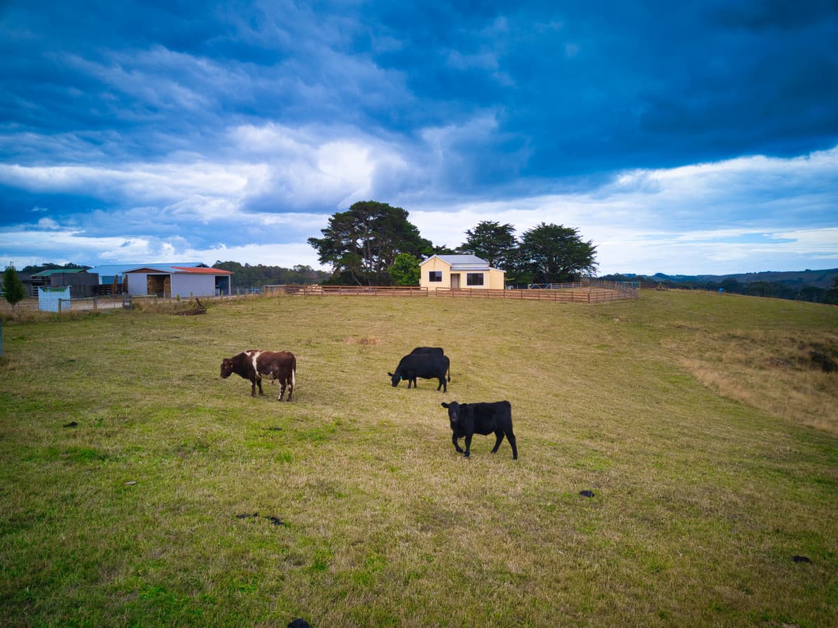172 Oldina Road, Wynyard, Wynyard - Thumbnail 8