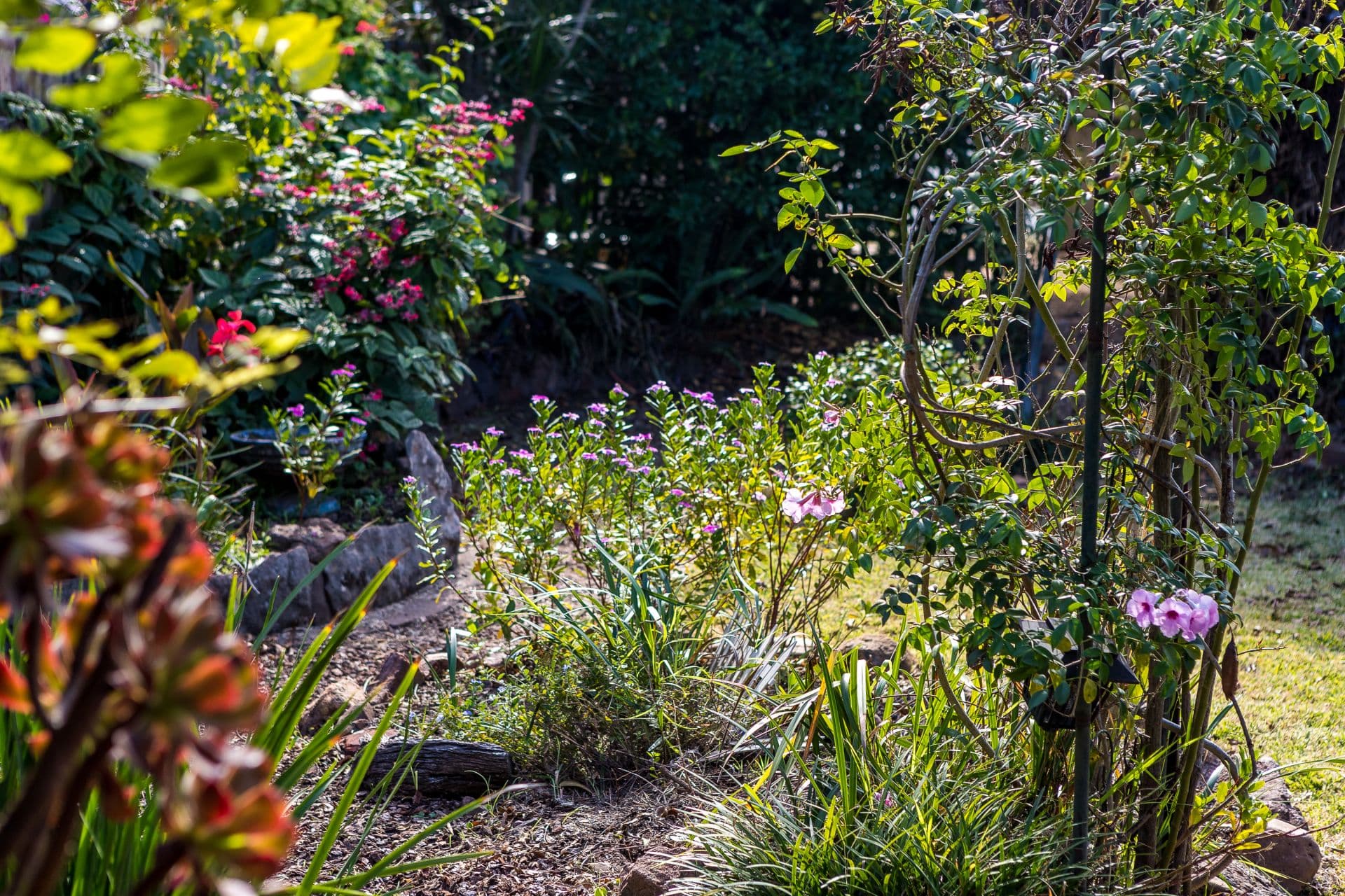 8 York Street, Singleton, Singleton - Thumbnail 8